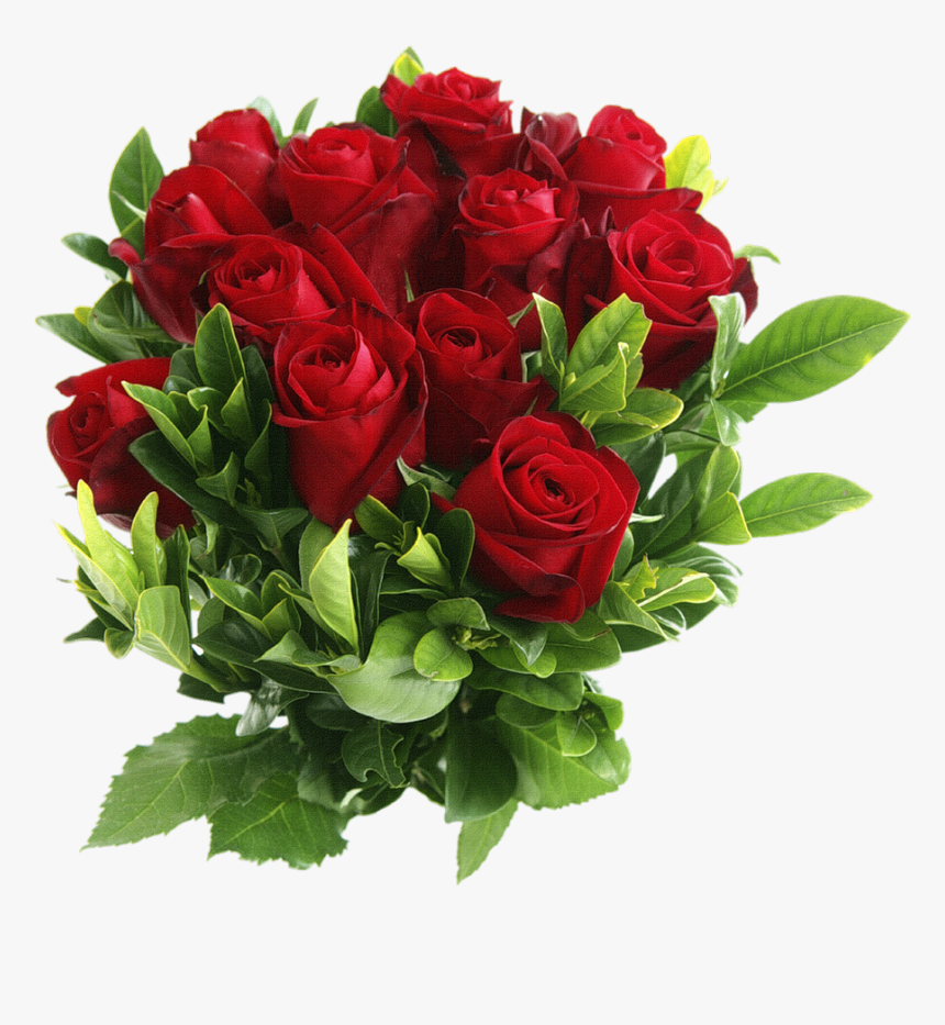 Red Rose Flower Png, Transparent Png
