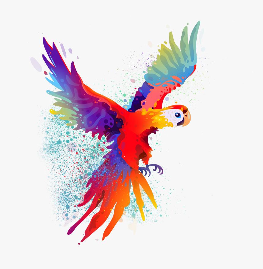 Sketches App Parrot, HD Png Download