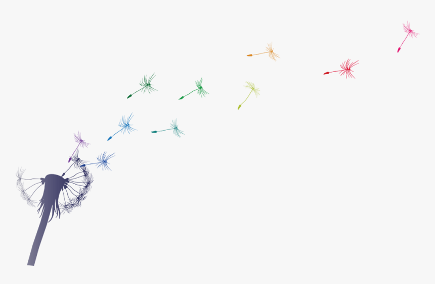 Png Dandelion, Transparent Png