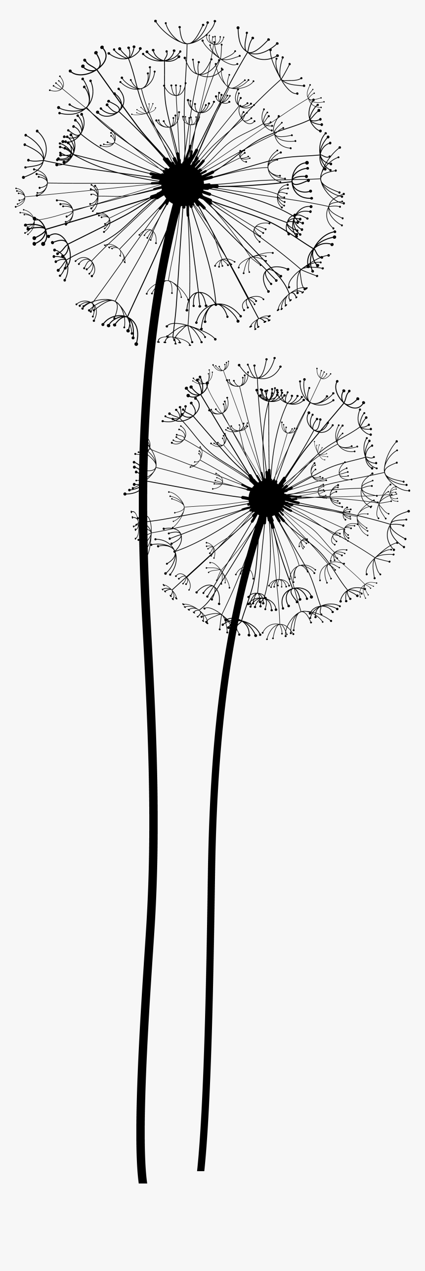 Dandelion Png Transparent - Transparent Background Dandelion Clipart, Png Download