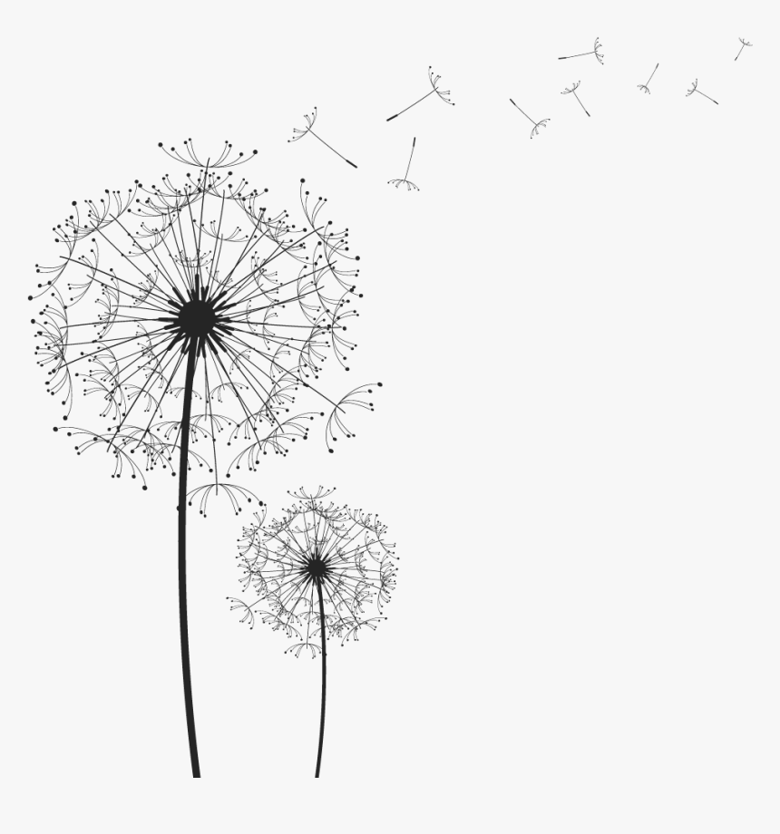 Portable Network Graphics Clip Art Image Vector Graphics - Black And White Dandelion Art, HD Png Download