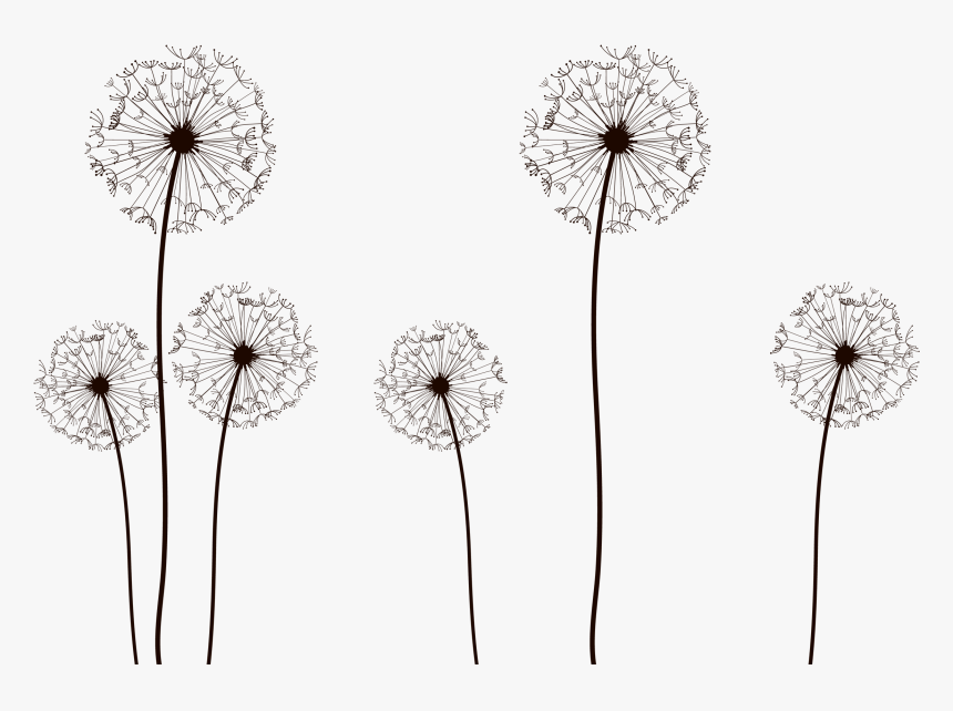 Vector Dandelion Png Transparent, Png Download