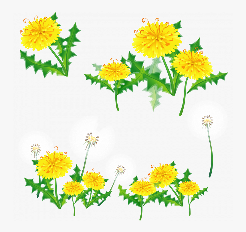 Download This High Resolution Dandelion Transparent - Border Transparent Tumblr Floral, HD Png Download