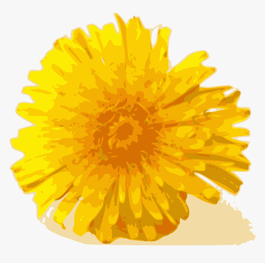 Dandelion Clip Art, HD Png Download