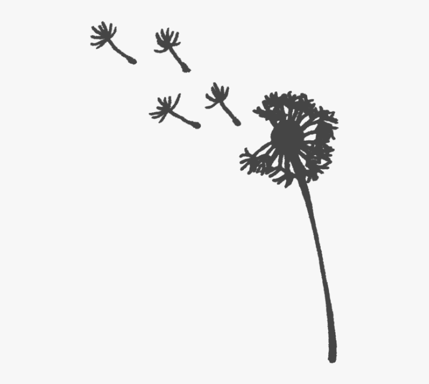 Png Dandelion, Transparent Png