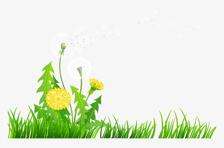 Dandelion Clipart Transparent - Yellow Dandelion Clip Art, HD Png Download