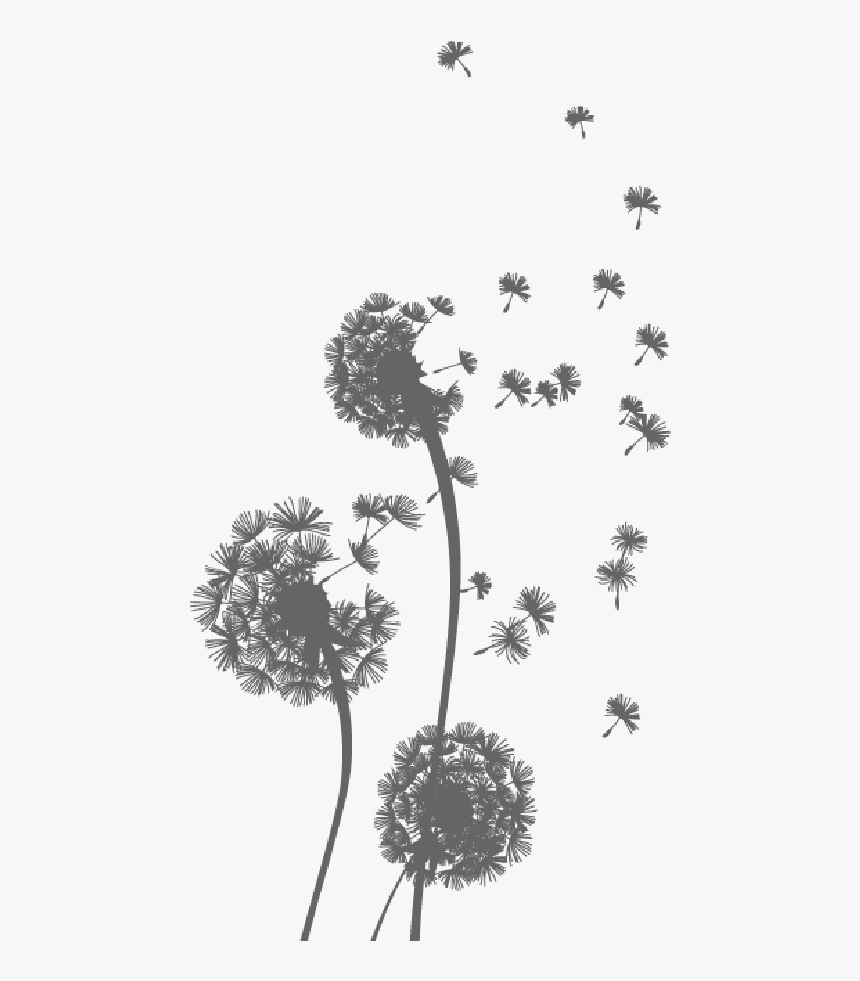 Transparent Background Gif Flower Png, Png Download