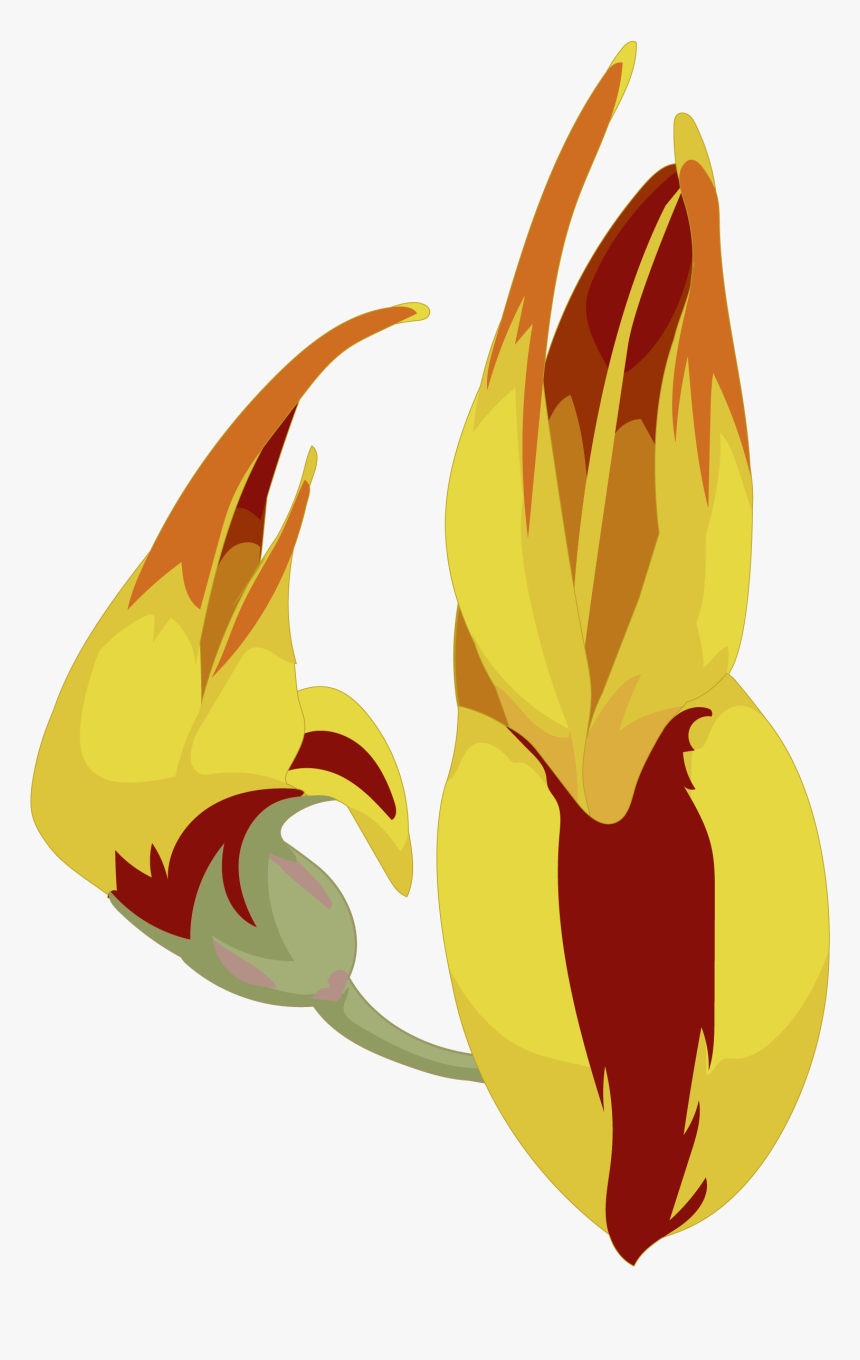 Transparent Flores Dibujo Png, Png Download