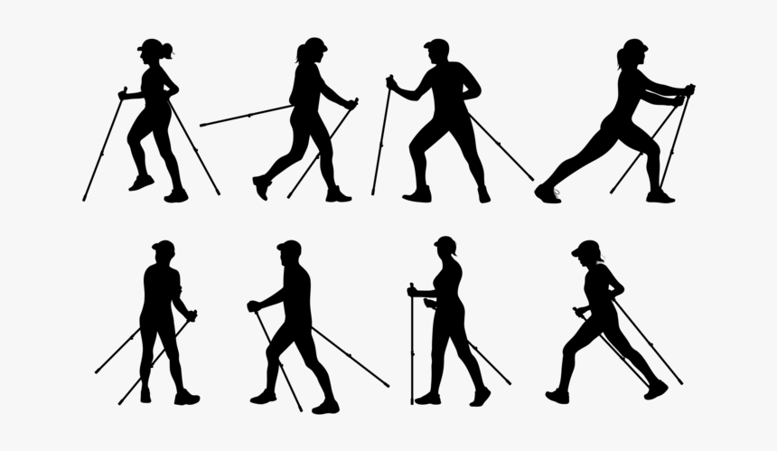 Nordic Walking Silhouettes Vector - Nordic Walking Png, Transparent Png
