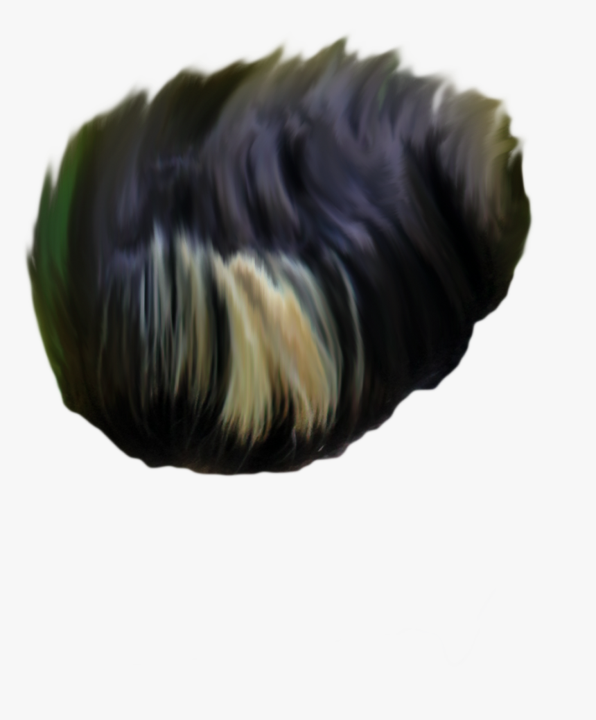 Honeybee, HD Png Download