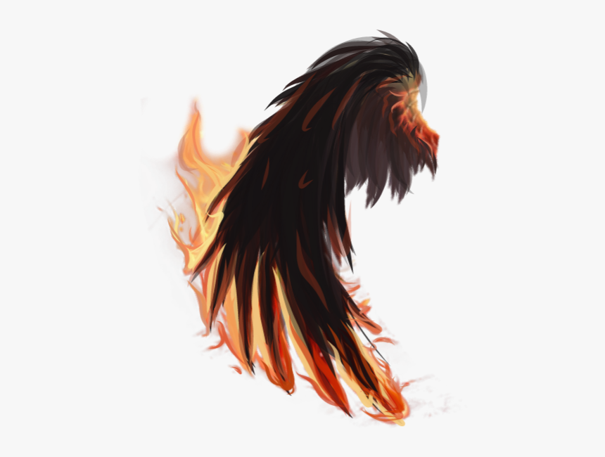 #fire #wings #firewings #tumblr #edit #png #pngedit - Bird, Transparent Png