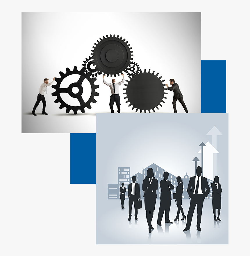 Defined Roles, HD Png Download