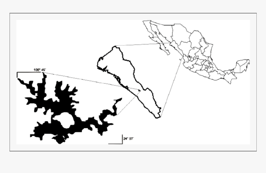 Transparent Mapa De Mexico Png - Mexico, Png Download