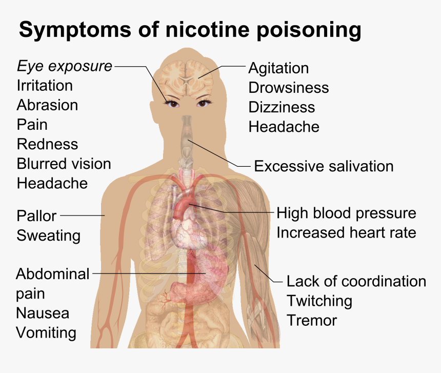 Symptoms Of Nicotine Poisoning - Nicotine Poisoning, HD Png Download