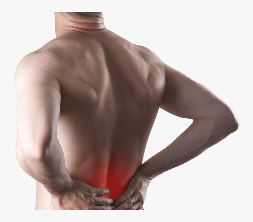Chiropractor Broomfield Co - Png Back Pain, Transparent Png