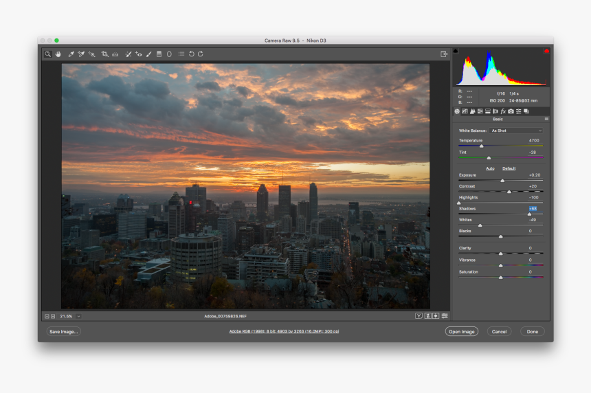 The Adobe Photoshop Interface Showing A Raw Image - Camera Raw, HD Png Download