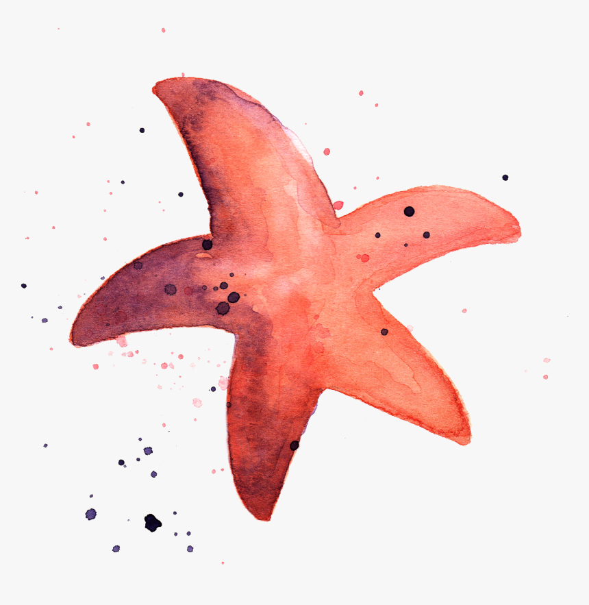 Starfish Png, Transparent Png