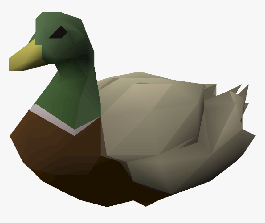 Duck, HD Png Download