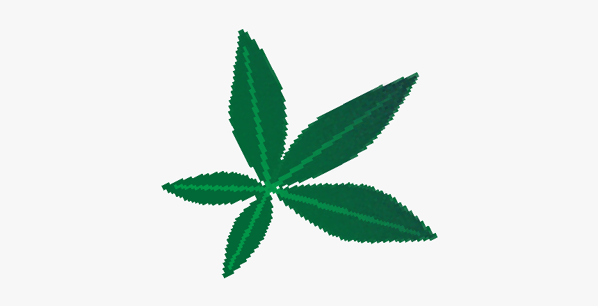 Botanical Pattern - Illustration, HD Png Download
