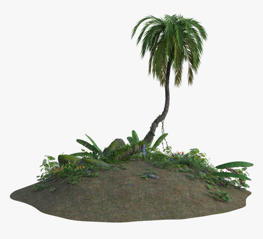 Tropical, Sand, 3d, Tree, Palm, Plants, Flowers, Nature - Palmeira De Deserto Png, Transparent Png