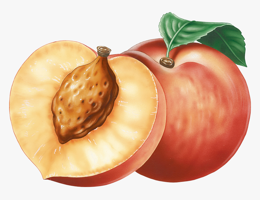 Peach Clipart Png, Transparent Png
