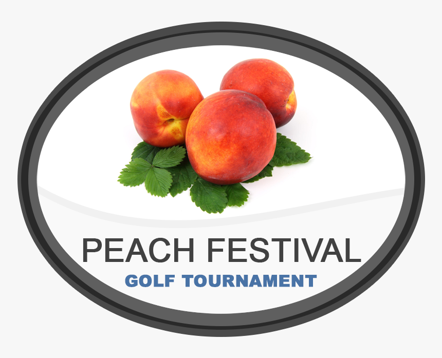 Ladies Open Golf Tourney, HD Png Download