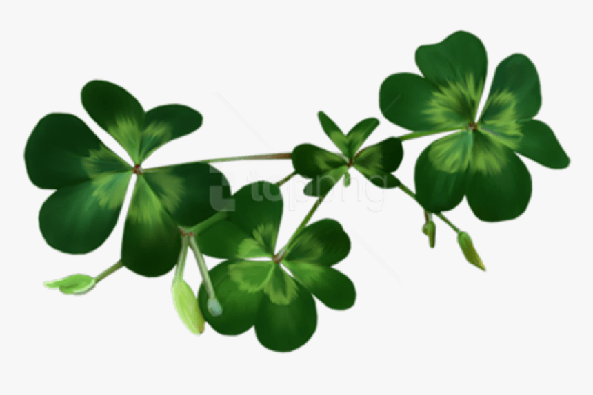 Free Png Download Irish Shamrocks Png Images Background - Shamrocks Png, Transparent Png