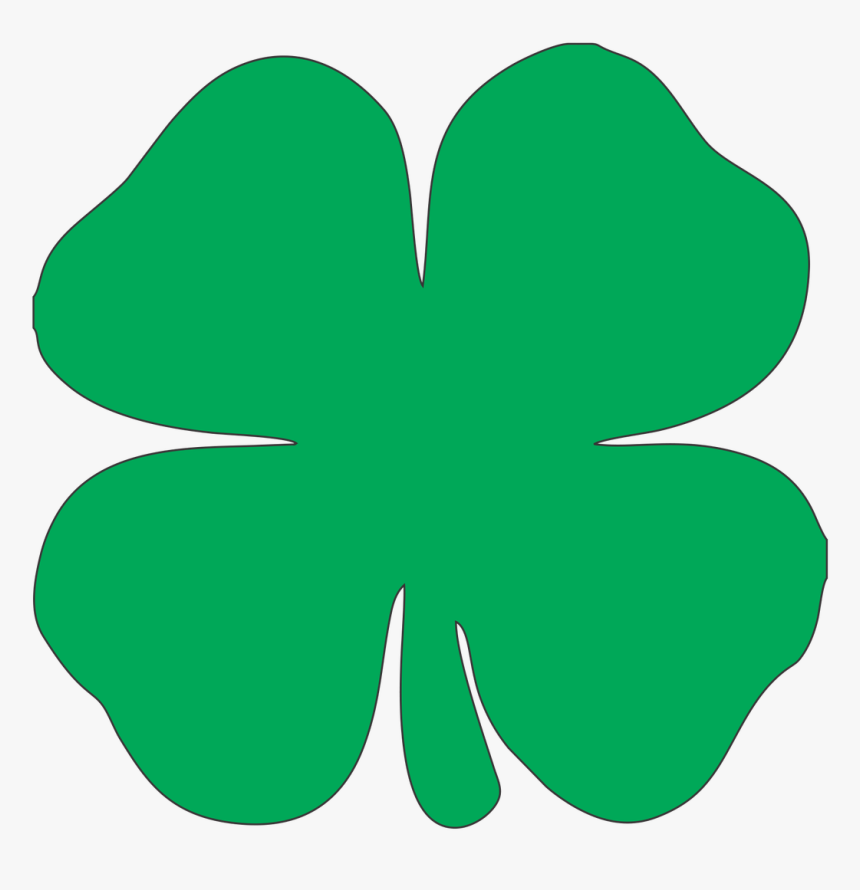 Clover Clipart Shamrock Shamrock Clipart Png Transparent Png Transparent Png Image Pngitem