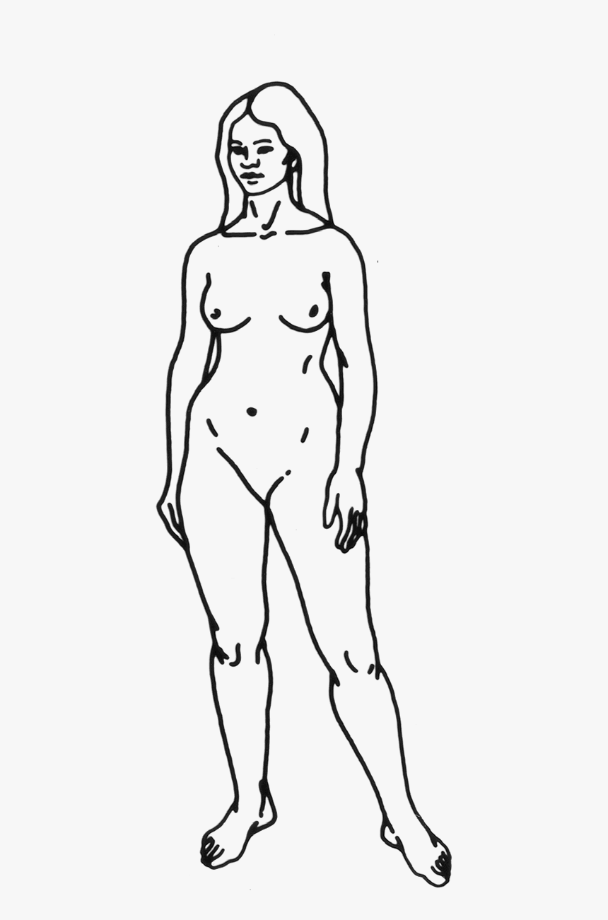 File - Human-woman - Homo Sapiens Easy To Draw, HD Png Download