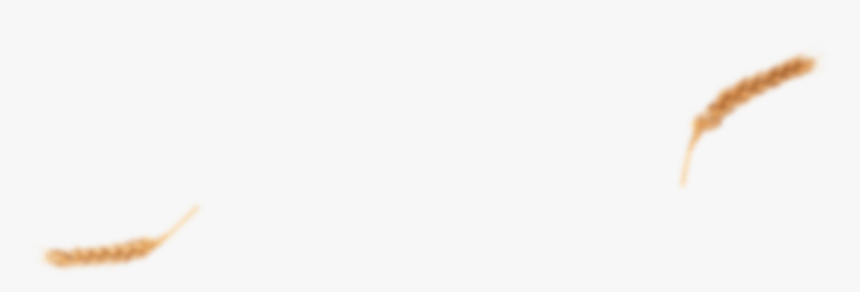 Shirt, HD Png Download