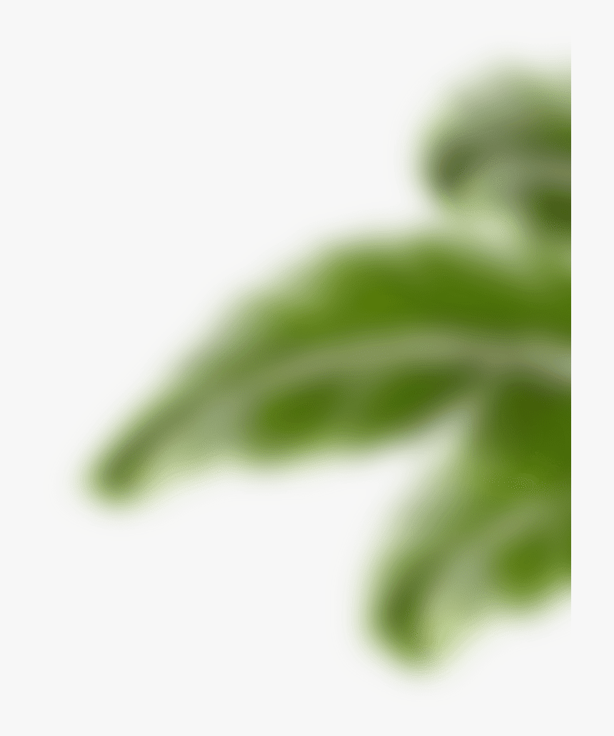 Student Of The Year - Macro Photography, HD Png Download