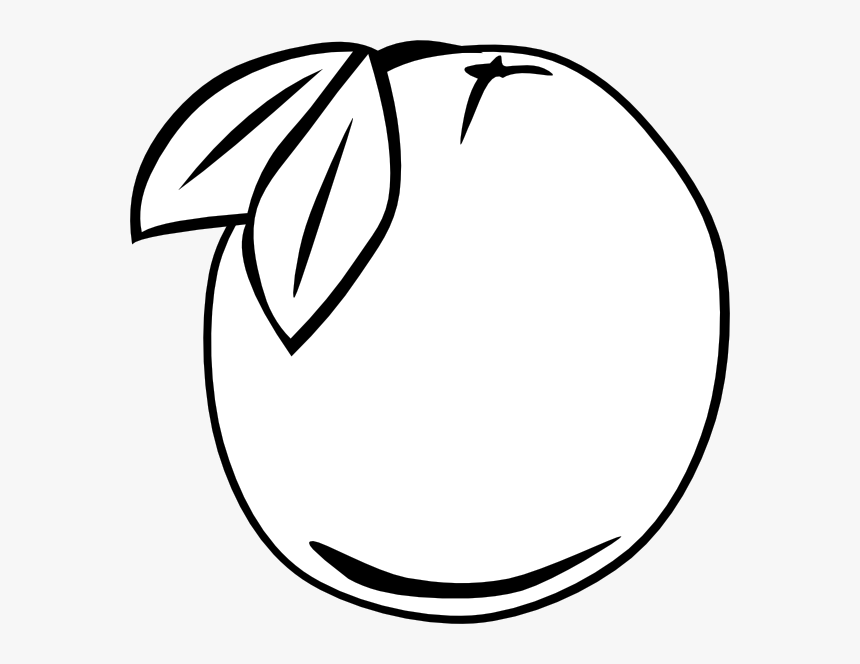 Orange Clipart Outline, HD Png Download