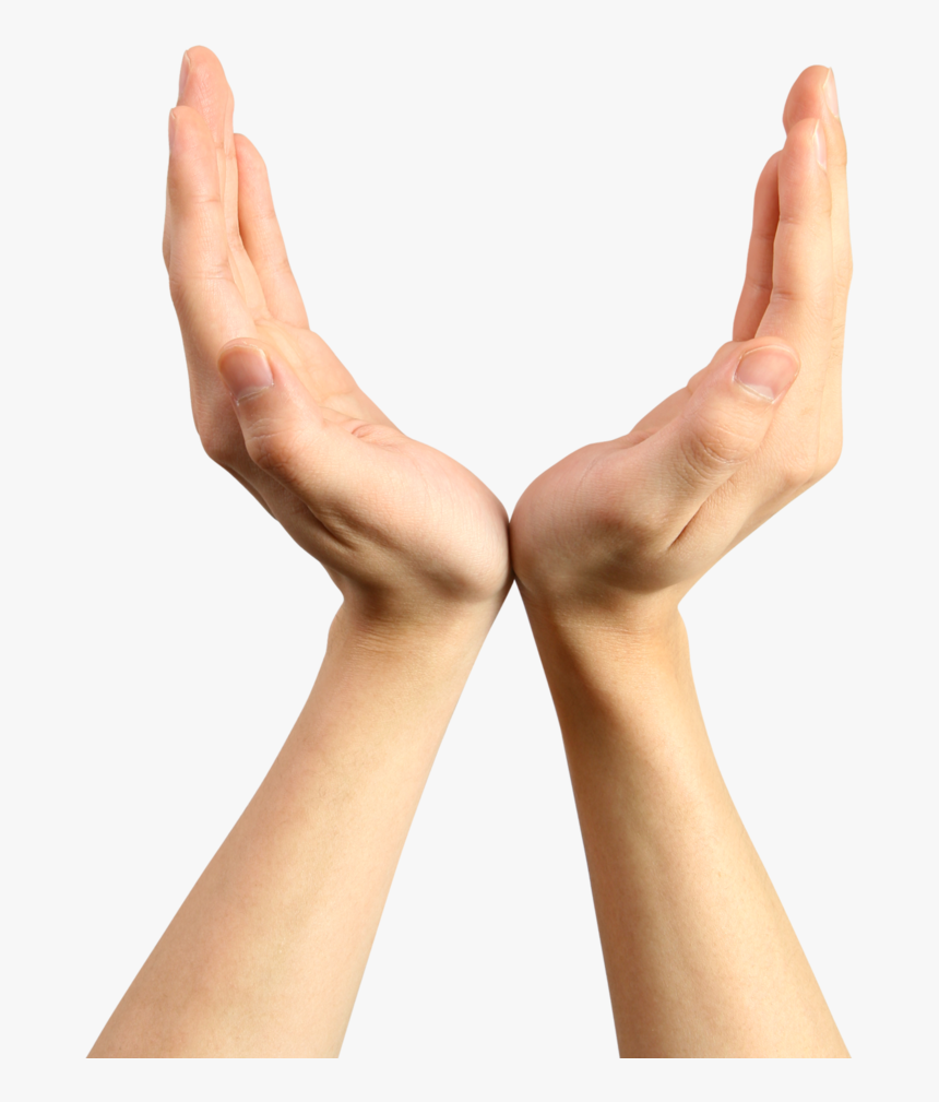 Arm Png Picture - 13 De Outubro Dia Do Fisioterapeuta, Transparent Png