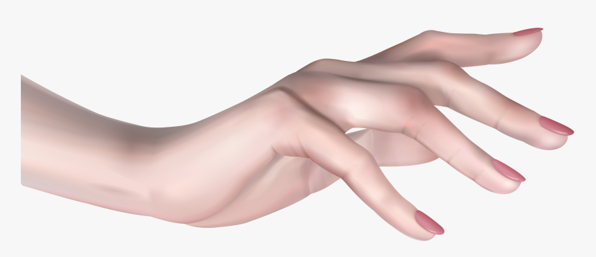 Hand Clipart Arm - Female Hand Png, Transparent Png