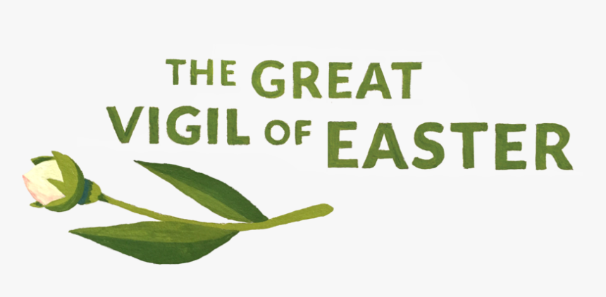 The Great Vigil Of Easter - Tea Plant, HD Png Download