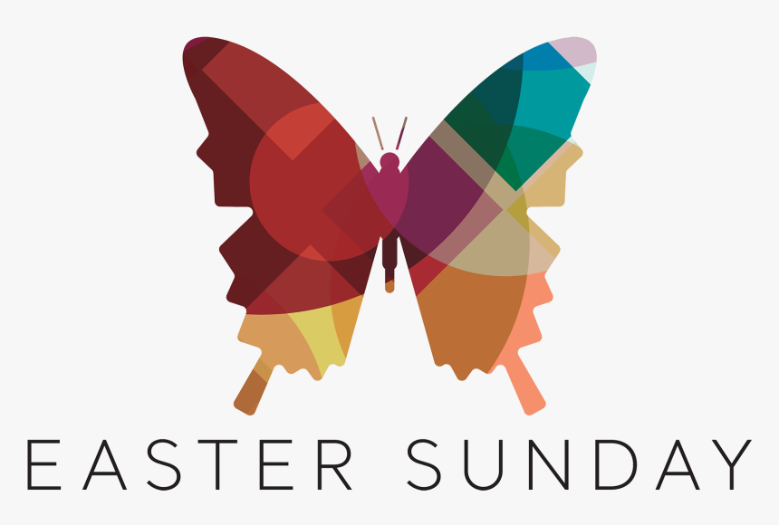 Graphic Design, HD Png Download