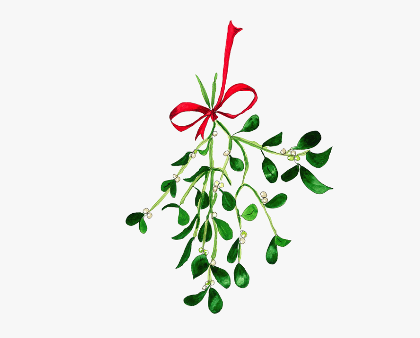 Mistletoe Texture Painting, Ink Painting, Mistletoe, - Mistletoe Watercolor, HD Png Download