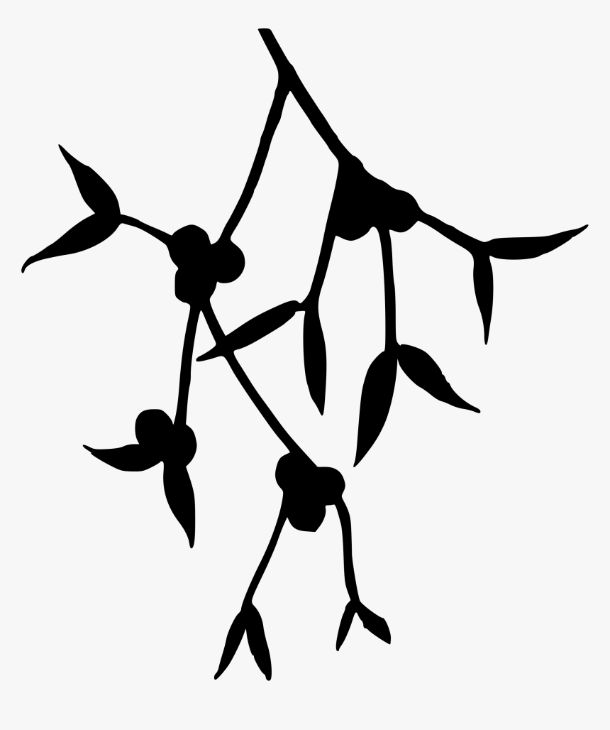 Mistletoe Png - Big Image, Transparent Png