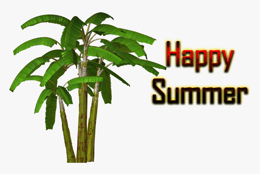 Summer - Banana Tree Clipart Png, Transparent Png