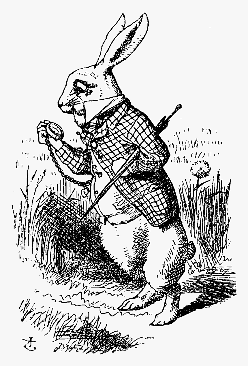 White Rabbit Alice In Wonderland Illustration, HD Png Download