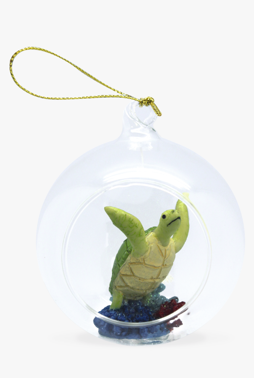 True Frog, HD Png Download