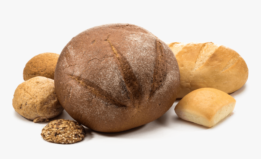 Knead Bakery - Sourdough, HD Png Download