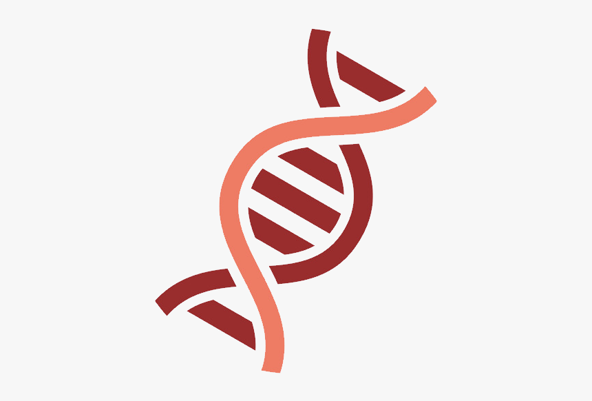 Dna Png - Gene Png, Transparent Png