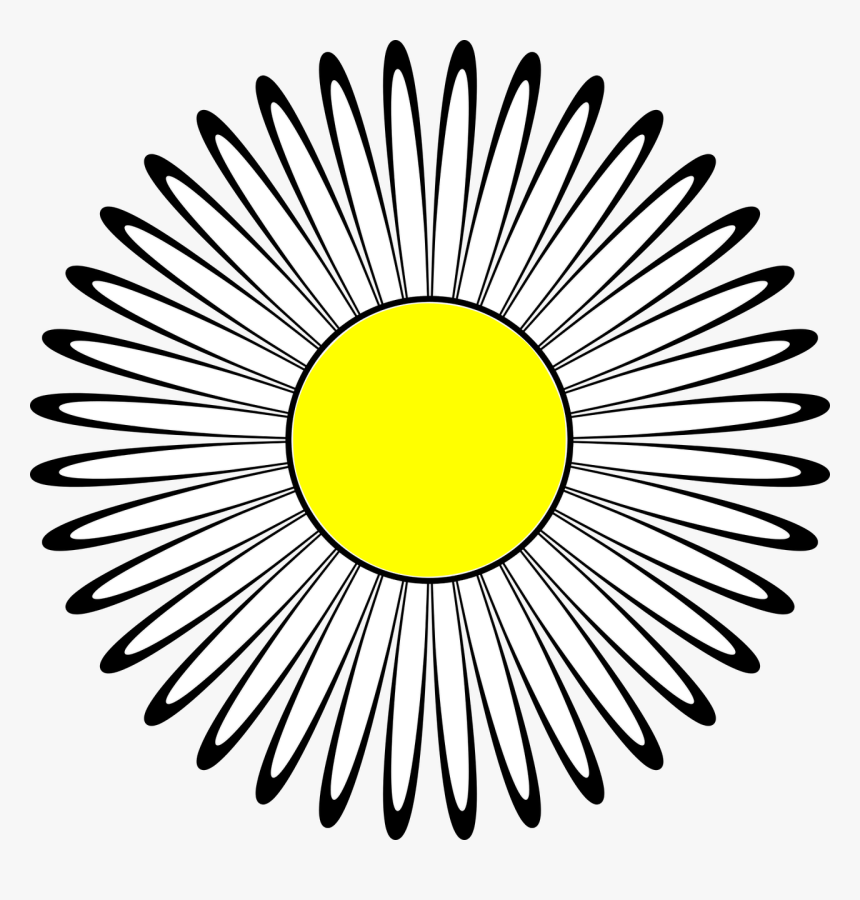 Guilloché Motif, HD Png Download