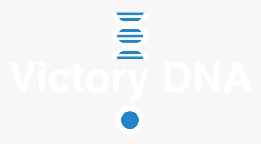 Dna Light@2x - Storyful, HD Png Download