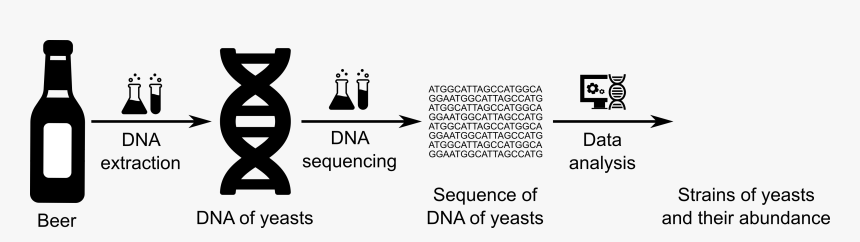 Glass Bottle, HD Png Download