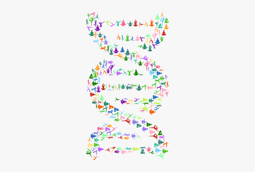 Yoga Dna - Dna Art Black And White, HD Png Download