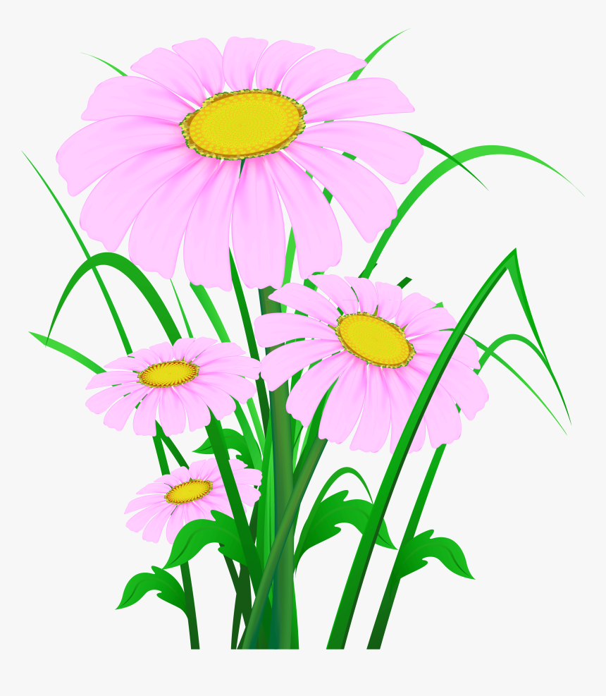 Transparent Wildflowers Clipart - Beautiful Flower Background Png, Png Download