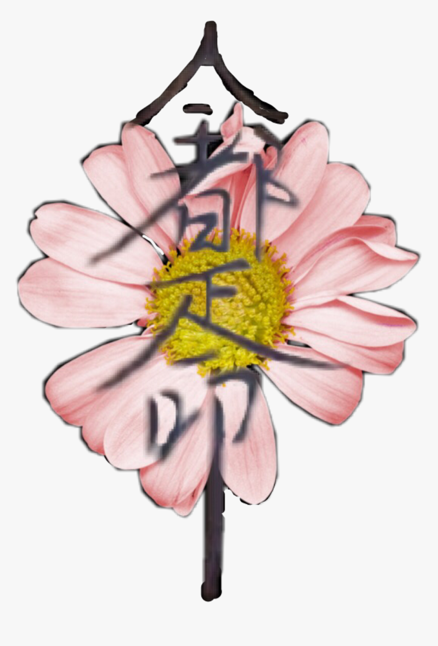 Daisy , Png Download - Daisy, Transparent Png