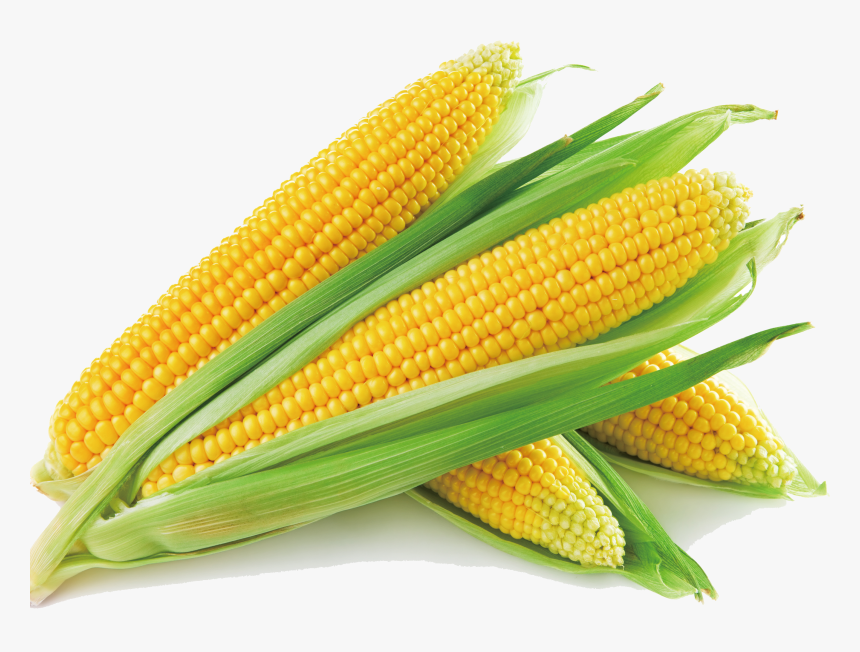 Sweet Corn Corn On The Cob Corn Soup Maize Vegetable - Corn Png, Transparent Png
